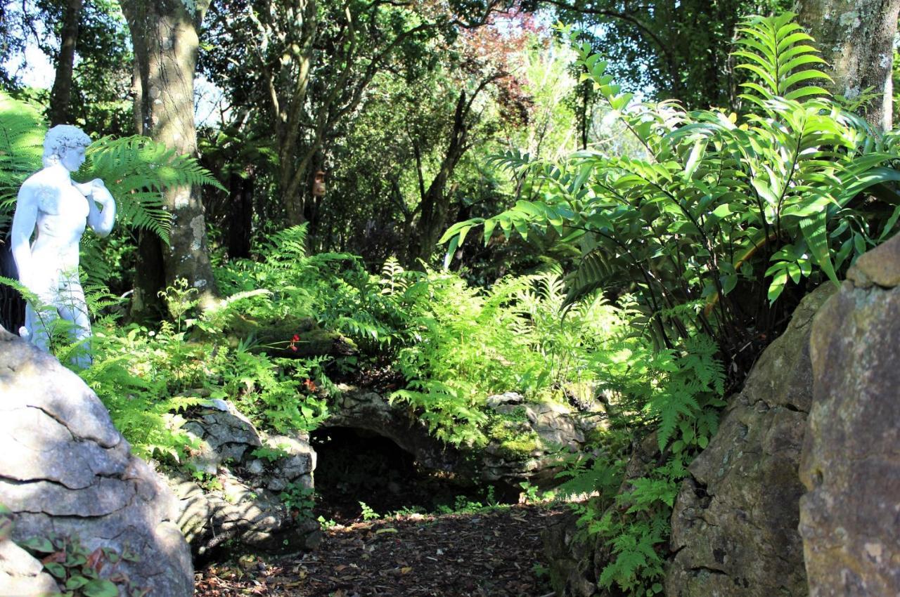 Labyrinth Gardens Guest House Takaka Zewnętrze zdjęcie